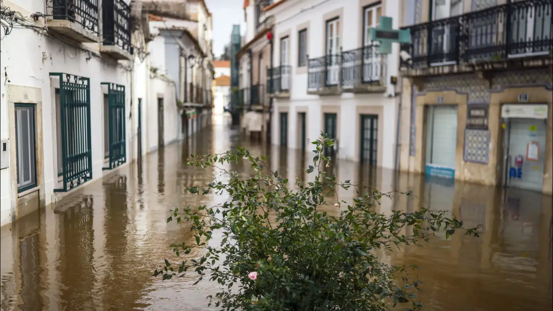 Ouvertures de candidatures pour le soutien aux biens culturels endommagés par les pluies