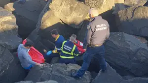 Pêcheur sauvé après une chute au large de Sines