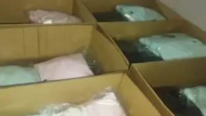 Plus de 190 000 pièces de vêtements contrefaits saisies dans le nord du pays.