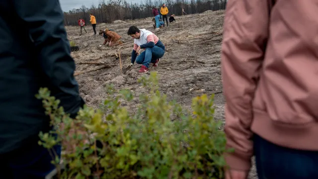 Plus de 7 300 arbres plantés grâce à une initiative pour l'achat de livres.