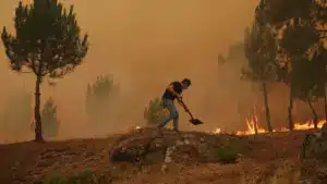 Plus d'une centaine de pompiers combattent le feu à Aveiro.