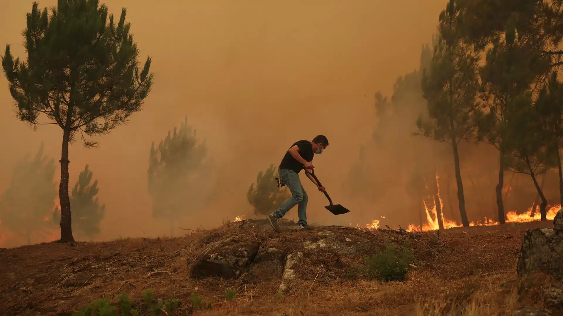 Plus d'une centaine de pompiers combattent le feu à Aveiro.