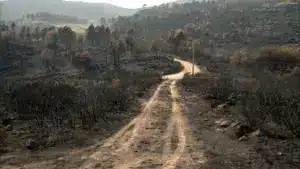 Près de la moitié de la surface brûlée dans l'UE en 2025 était au Portugal et en Espagne.