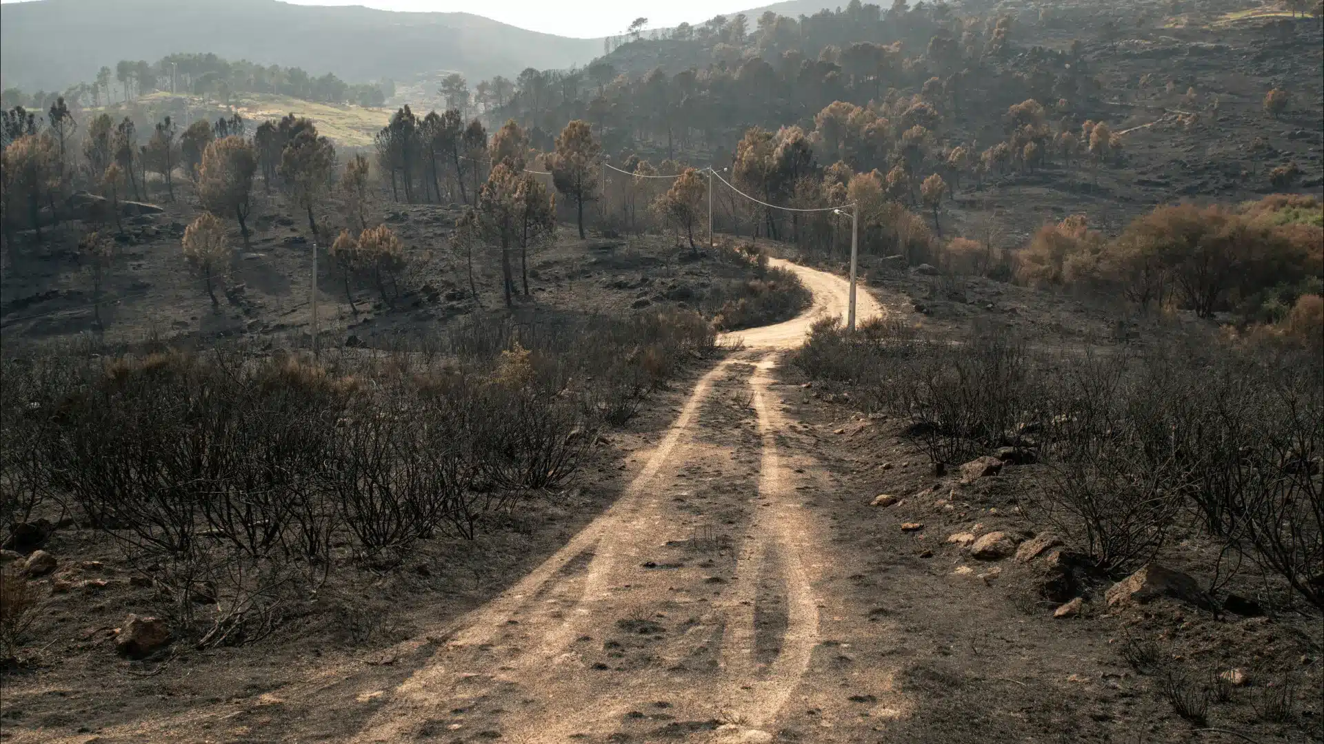 Près de la moitié de la surface brûlée dans l'UE en 2025 était au Portugal et en Espagne.