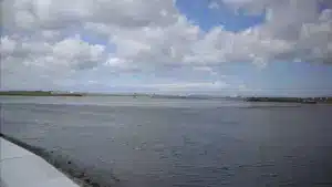 ProTEJO contre le classement "inacceptable" de la plainte contre la Commission européenne.