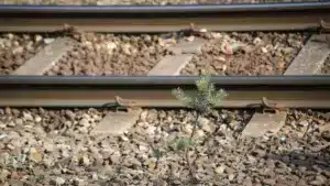 Quatre trains arrêtés sur la Ligne du Nord en raison d'une panne de signalisation