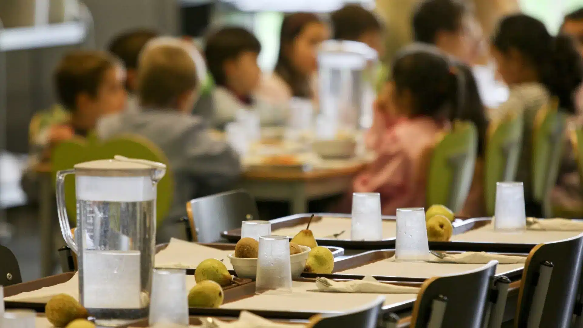 "Rats" et "cuisinière pourrie". Manque de conditions dans une cantine scolaire à Porto.