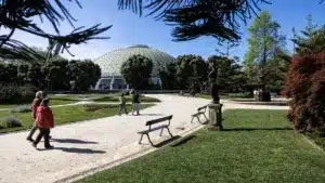 Rota des Arbres de Porto veut montrer ces "témoins vivants" à la ville.