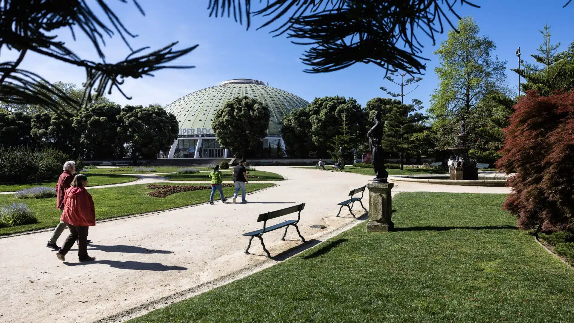 Rota des Arbres de Porto veut montrer ces "témoins vivants" à la ville.