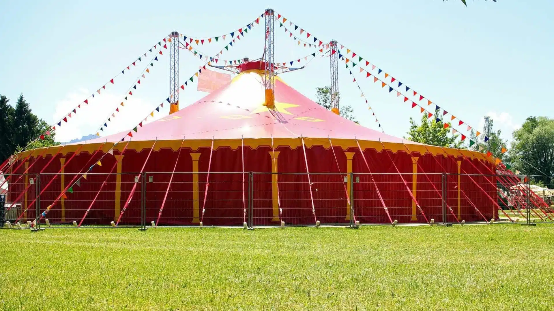 Sona : Le dernier tigre de cirque du Portugal a été remis à un sanctuaire espagnol