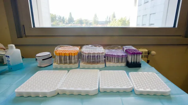 Technicien de laboratoire arrêté par la PJ a été interdit d'entrer à Coimbra