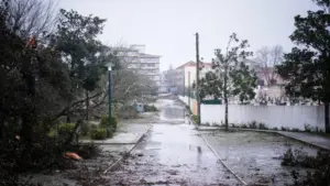 Tempêtes. Concours ouvert avec 20 millions pour la modernisation agricole