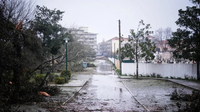 Tempêtes. Concours ouvert avec 20 millions pour la modernisation agricole