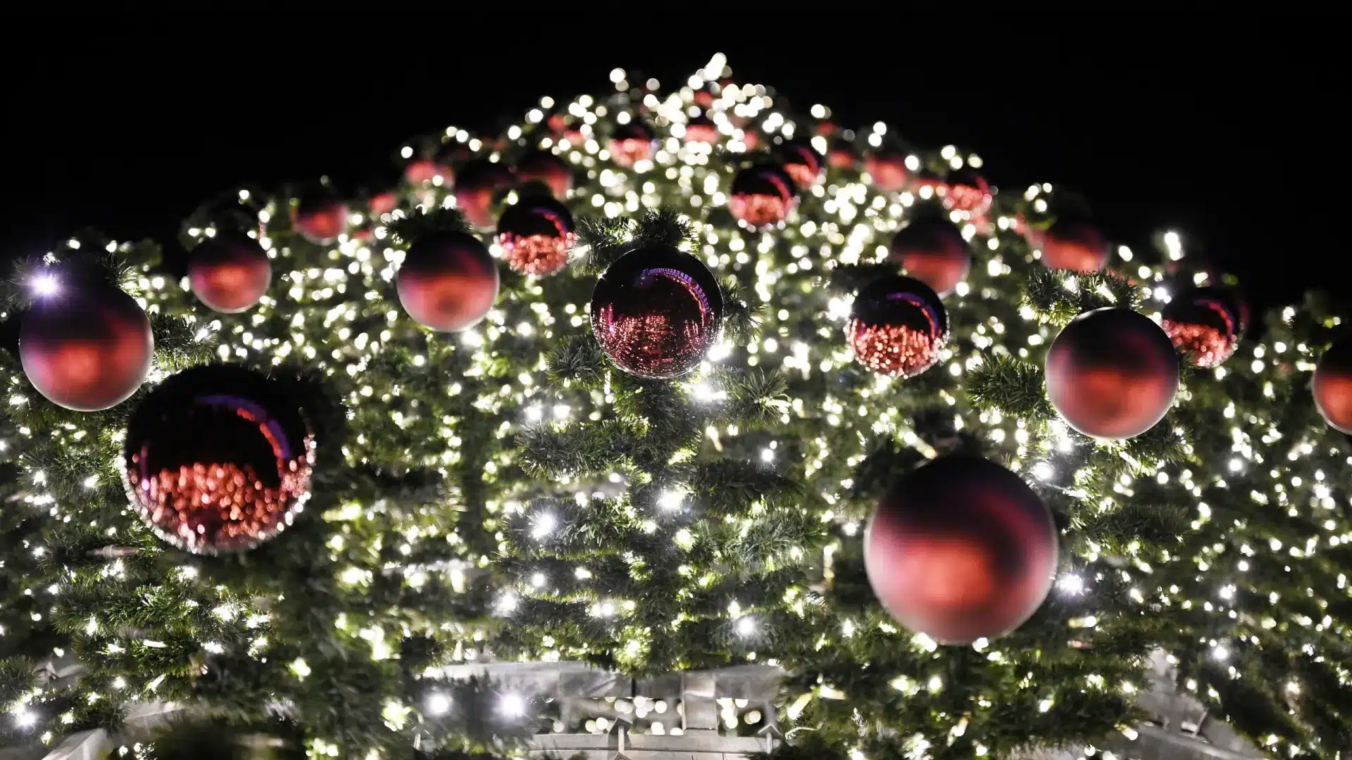 UACS garantit "transparence" dans l'organisation des lumières de Noël à Lisbonne.