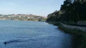 Un bateau de plaisance coule dans le fleuve Douro. Une personne est portée disparue.
