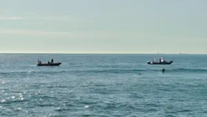 Un jeune de 17 ans a disparu à Costa da Caparica. Des recherches sont en cours.