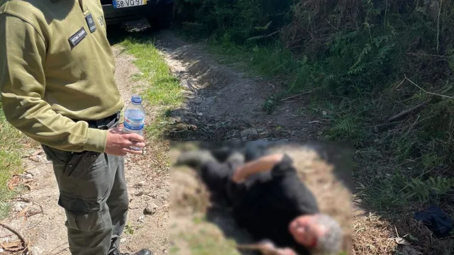 Une femme âgée retrouvée à Braga après une "chute grave" dans une zone forestière éloignée.