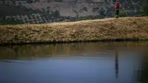 Valpaços avance avec des mesures pour soutenir les familles, les entreprises et les institutions.