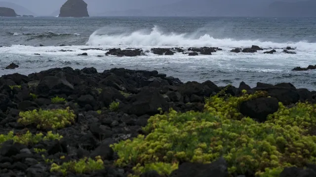 Vent et agitation maritime dans les groupes Occidental et Central des Açores