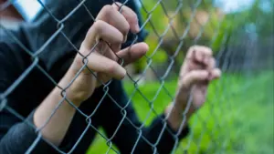 Violation et homicide parmi les crimes qui ont le plus augmenté en 2025.