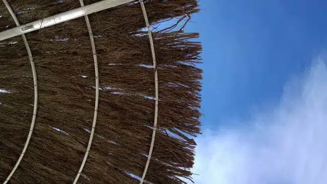 Week-end à la plage Les thermomètres atteignent 30°C (mais attention aux UV)