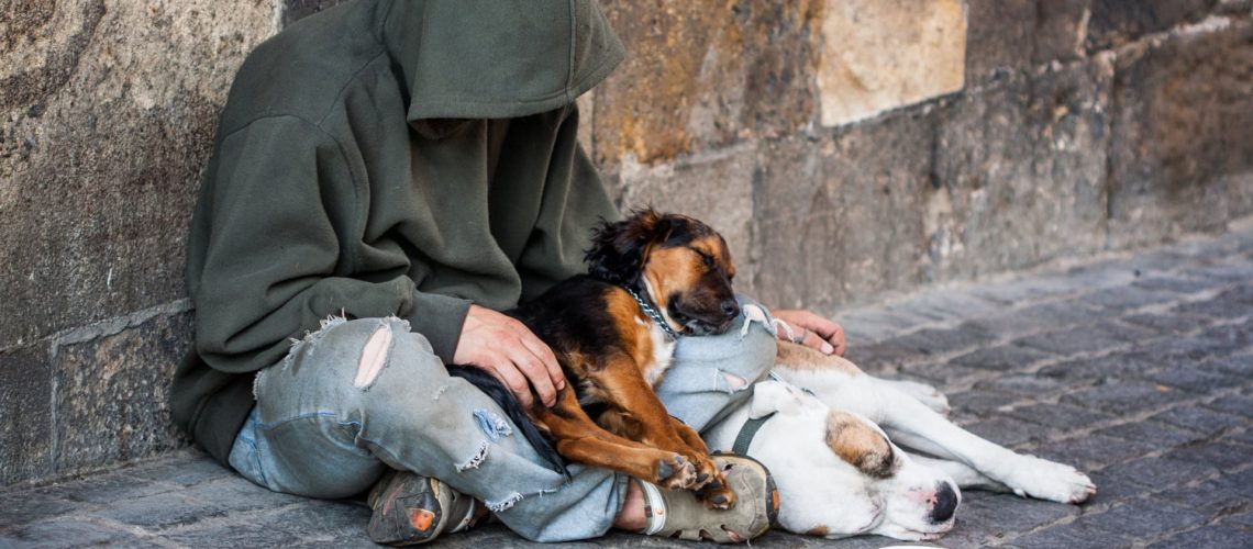 Açores. Défenseure des animaux désapprouve 'l'utilisation' de chiens à des "fins de mendicité"