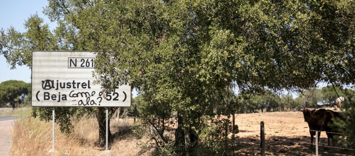 Aljustrel: Incendie forestier avec près de 100 opérationnels et 7 moyens aériens
