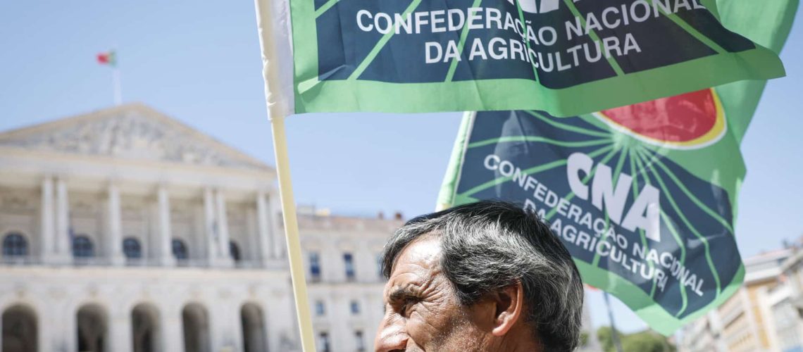 CNA soumet les revendications des viticulteurs du Douro.