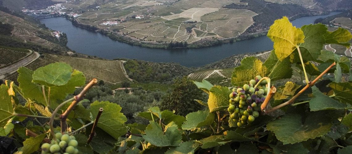 Crise dans le Douro : les viticulteurs se divisent en protestation