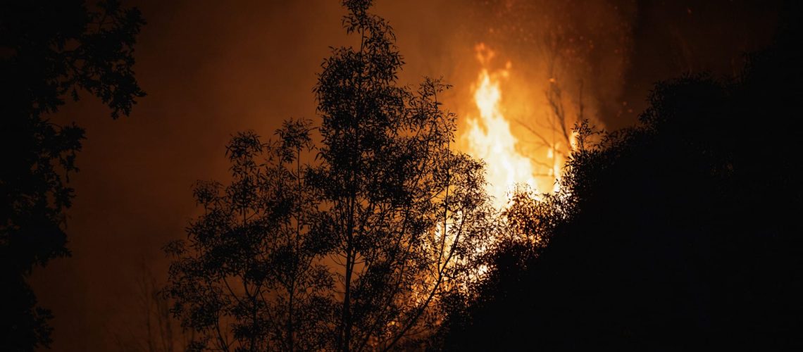 Dans l'incapacité de quitter la maison, la famille a combattu les flammes avec des seaux.