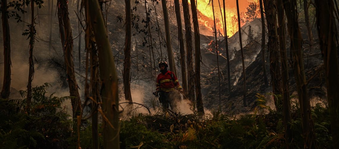 "En évolution". Incendie à Coimbra mobilise près de 200 opérateurs.
