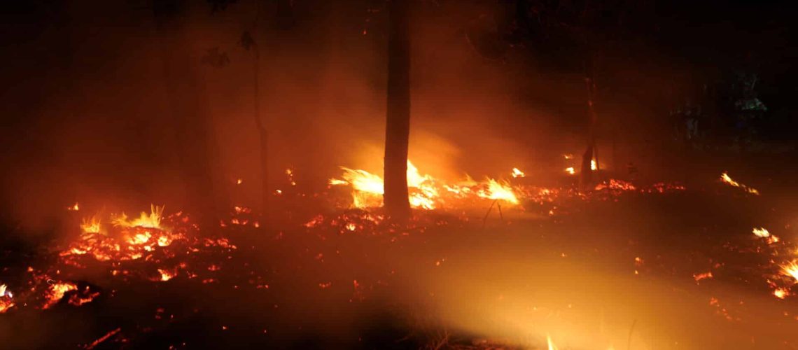 Feu à Montemor-o-Novo considéré comme maîtrisé.
