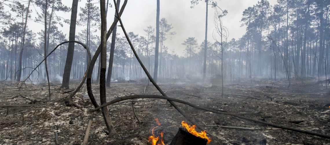 Fogo à Sabrosa "pourrait être maîtrisé". Il n'y a plus de populations en danger.