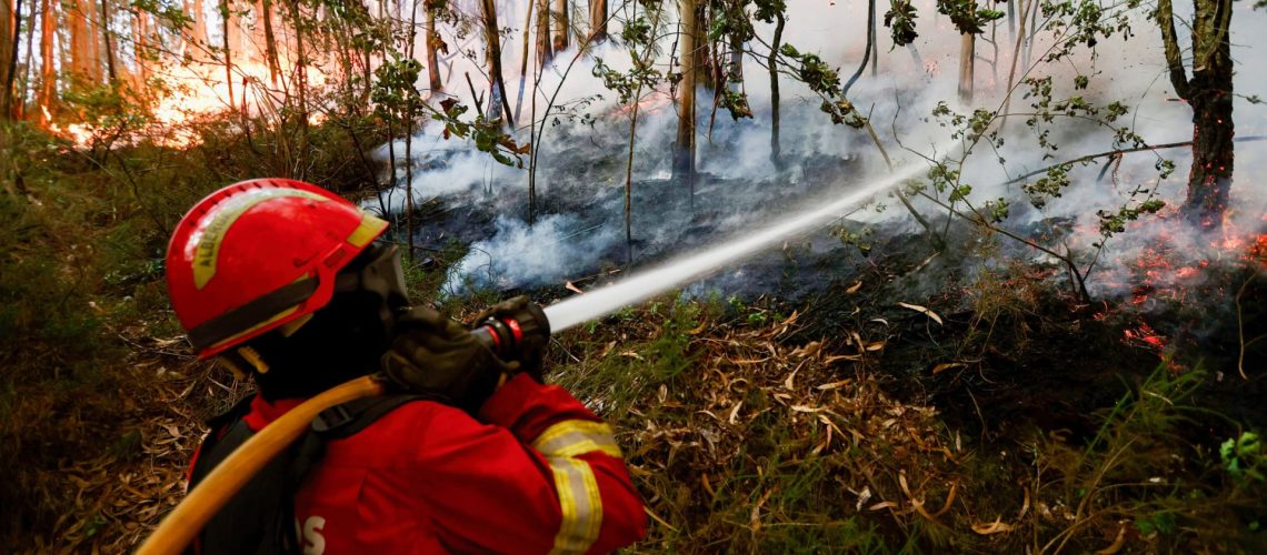 GNR arrête un homme pour incendie de forêt à Fornos de Algodres