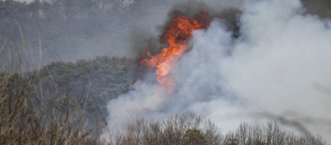 Homme arrêté par la PJ pour être suspecté d'avoir mis le feu à Castelo de Paiva.