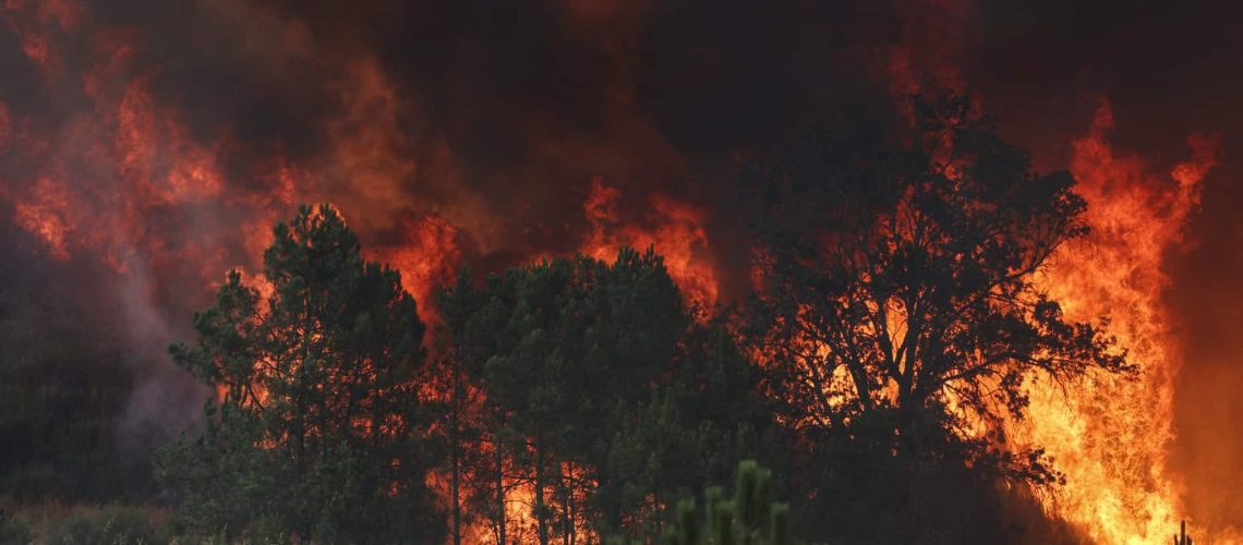 Il a 80 ans, était garde forestier et voit sa maison brûler : "Je ne sais pas quoi faire"