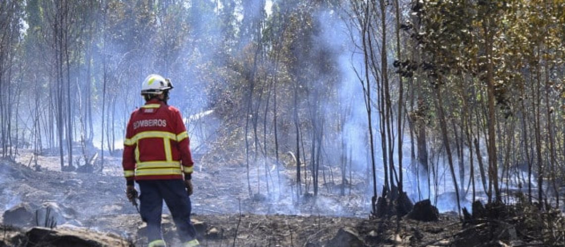 Incendiaires ? Le profil indique des hommes, peu lettrés et alcooliques.