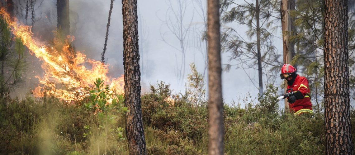 Incendie à Alcanede a causé des dégâts dans un annex de maison et a tué 350 porcelets.