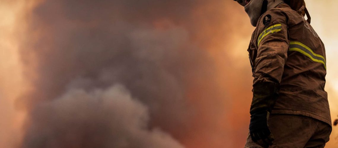 Incendie à Alcanede mobilise près de 230 pompiers et coupe la N362