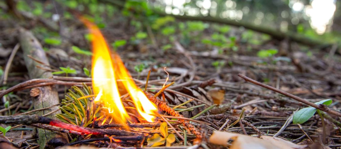 Incendie à Castelo de Paiva avec plusieurs fronts actifs