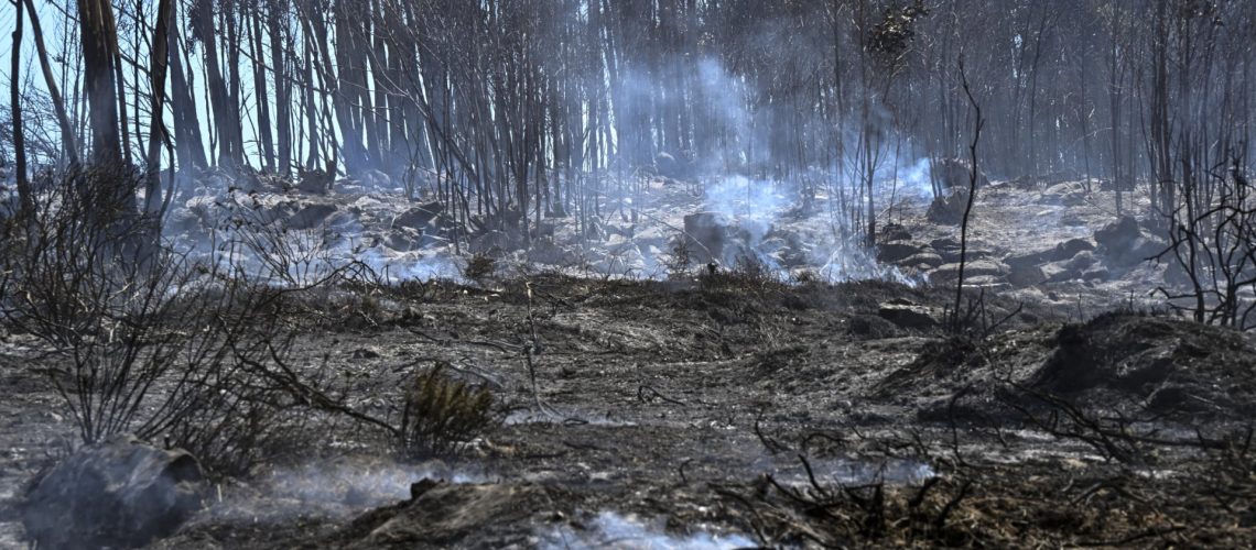 Incendie au Parc National de Peneda-Gerês "en cours de conclusion"