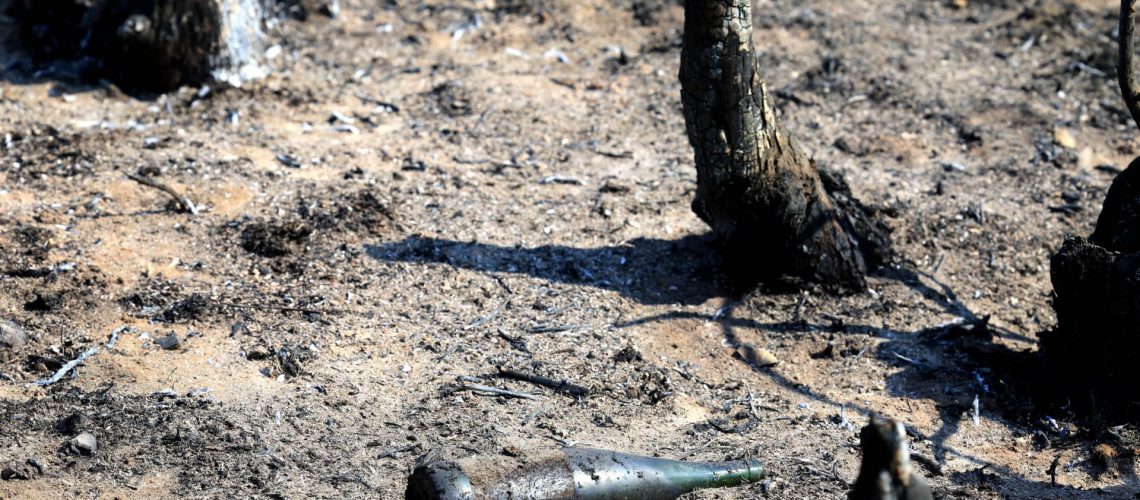 Incendie de Celorico de Basto maîtrisé après s'être propagé à Amarante.