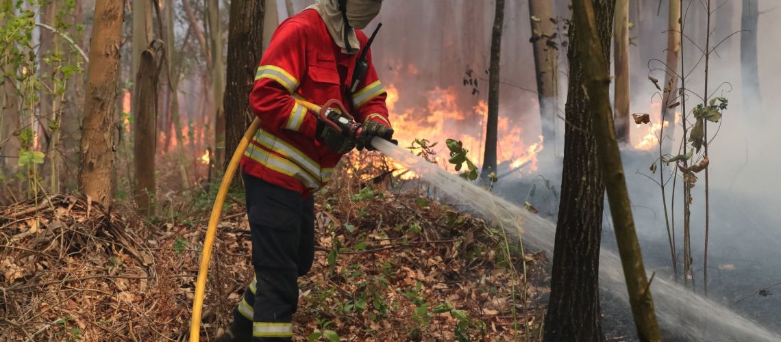Incendie maîtrisé dans le comté d'Alandroal