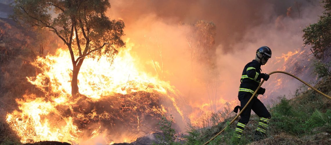 Incendies. Feu d'Arouca a commencé près de la voie municipale.