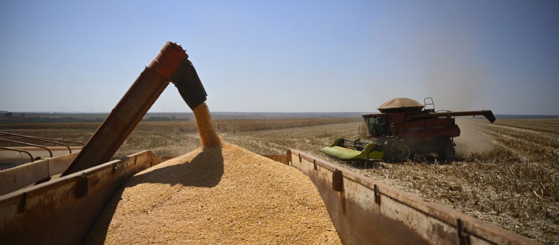 La dépendance externe du Portugal augmente en 2024 pour les céréales, produits laitiers et fruits.