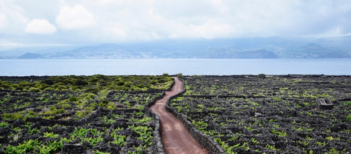 La production d'énergie par des privés n'est pas réglementée aux Açores.