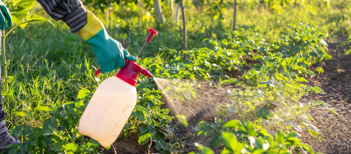 L'ASAE saisit 170 unités de produits phytopharmaceutiques au niveau national.