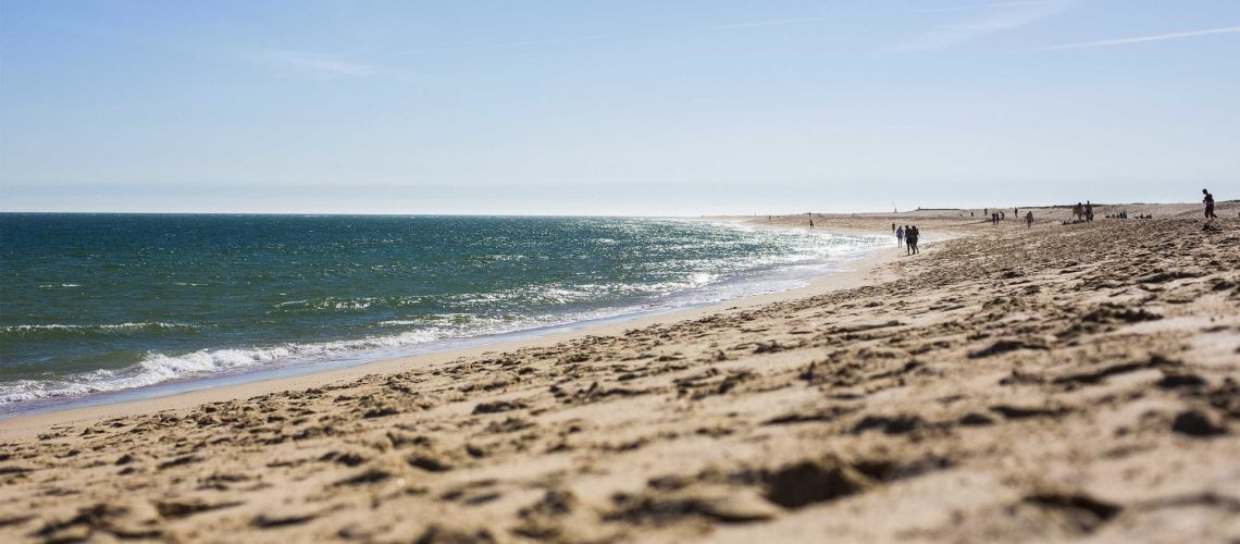 L'autorité sanitaire interdit la baignade à Praia da Vieira à Marinha Grande.
