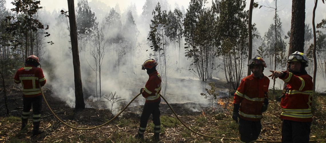 Le combat contre les flammes évolue favorablement à Mangualde.