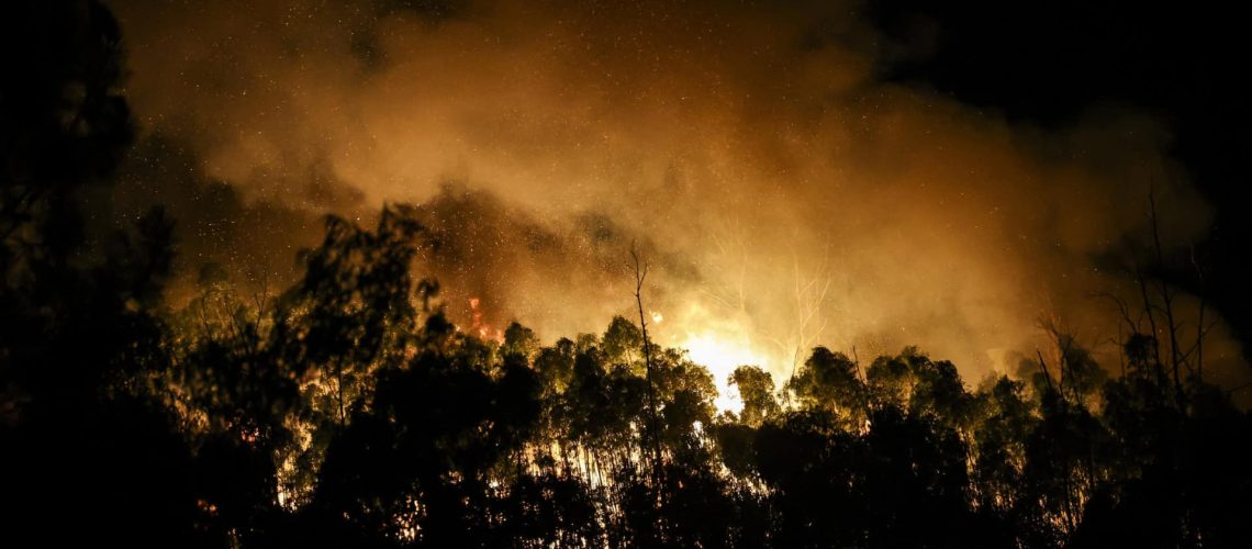 Le feu d'Arouca reste avec un front actif à Cinfães.